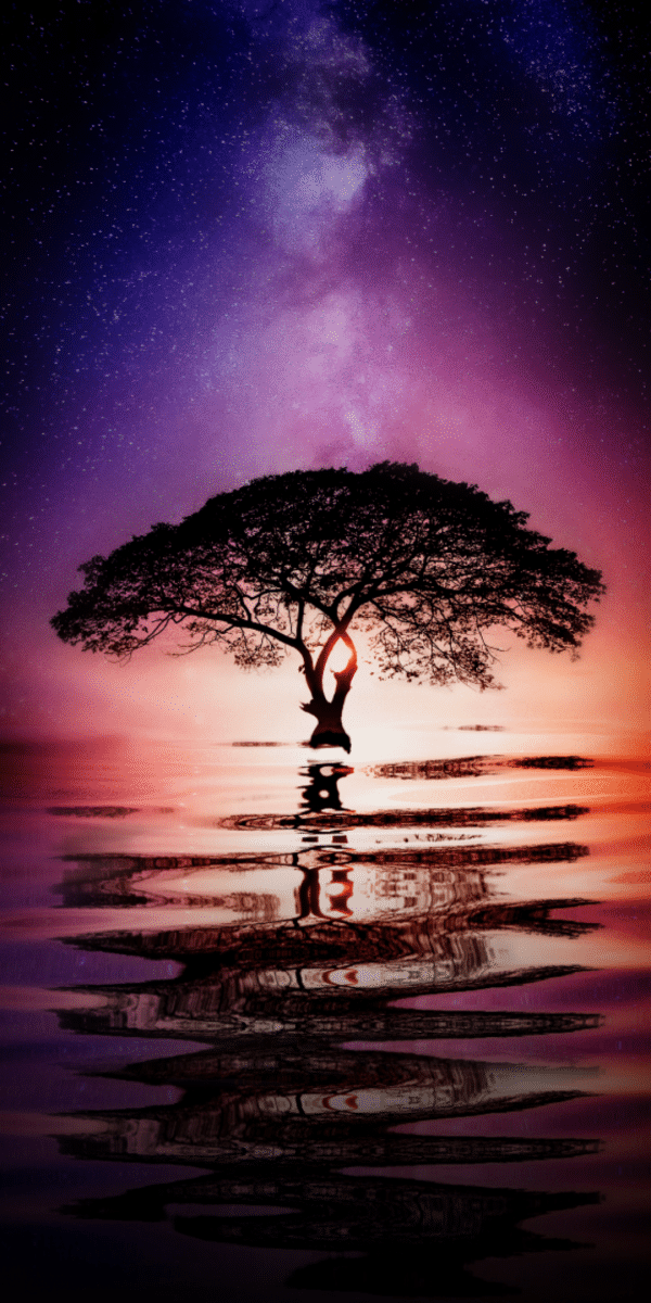 Huawei P20 Wallpaper