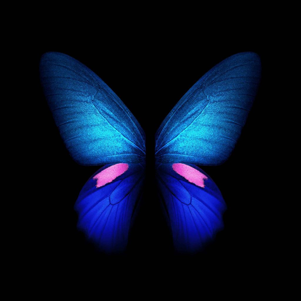 Galaxy Fold Stock wallpaper