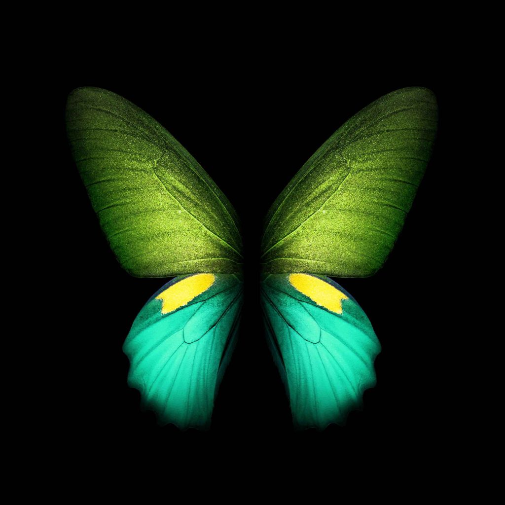 Galaxy Fold Stock wallpaper