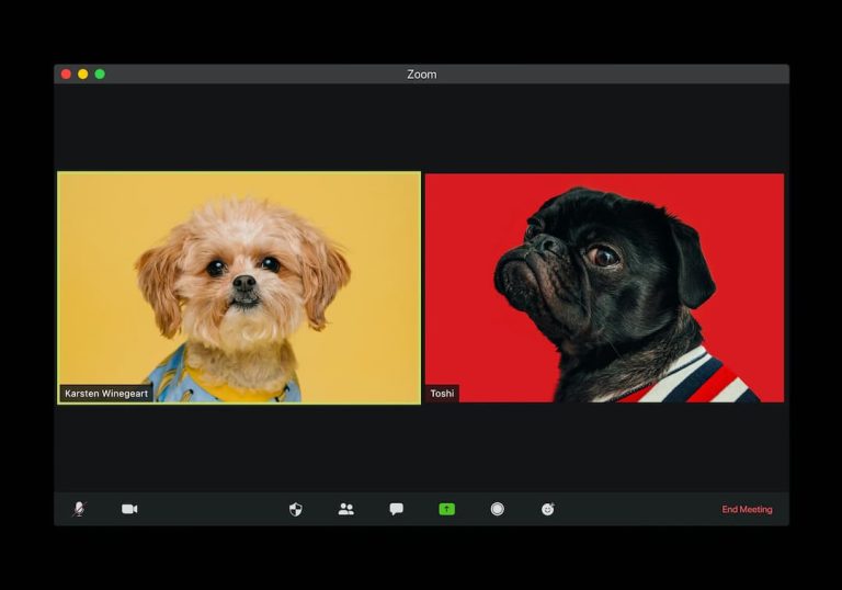 5 best video conferencing apps for Android in 2021