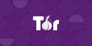 What facts do you need to know about Tor before starting to browse? What facts do you need to know about Tor before starting to browse?