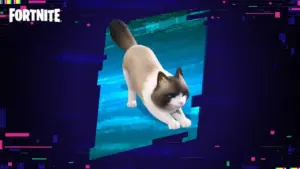 Fancy Ragdoll Sidekick in Fortnite: Price and How to Buy