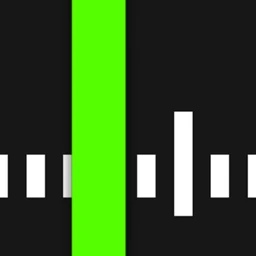 NavRadio BASIC icon