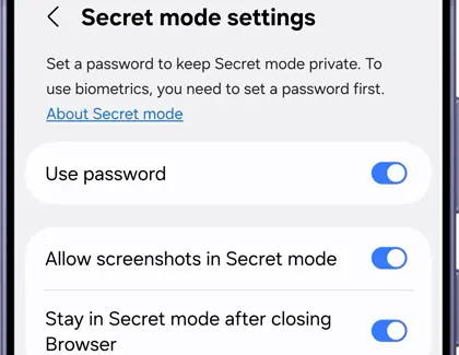 Secret mode settings screen showing toggles for password and screenshots.
